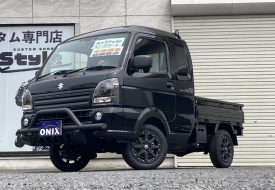 ＜スーパーキャリーカスタム＞