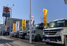 【今週末はスズキの日】