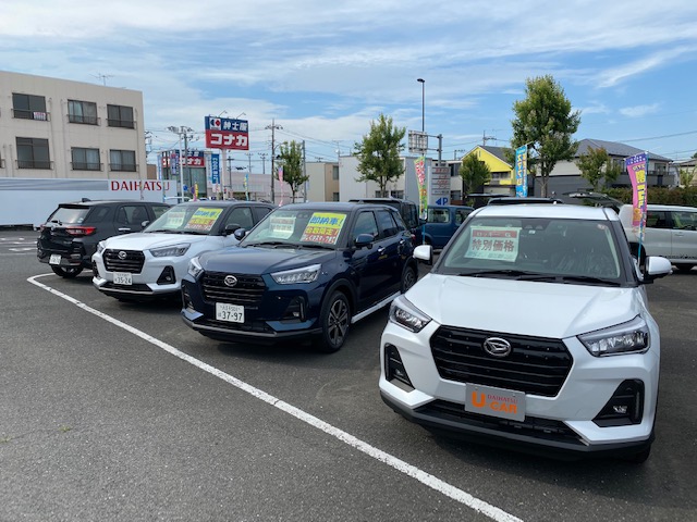 ロッキー祭り！開催中