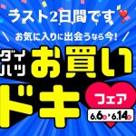 お買いドキフェア終了まであと2日です♬